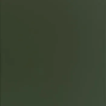 RAL 6003